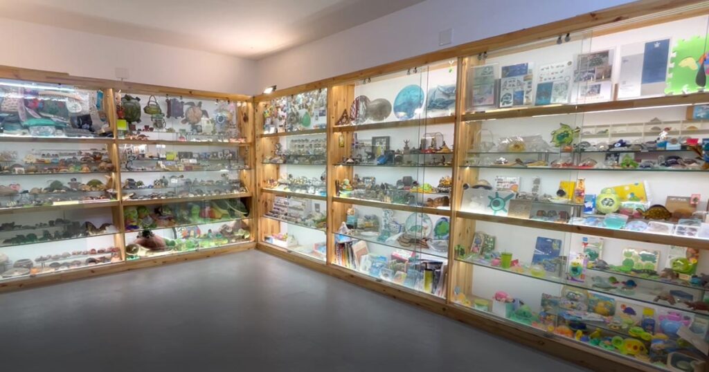 Turtleum By Lalit Mehta (Home Museum In Ahmedabad)