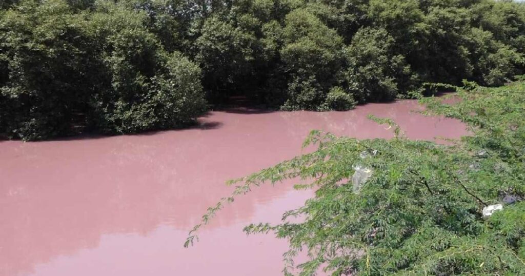 Pink colored water in Porbandar