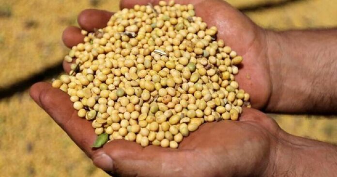 Soybean Futures Insurance Levels