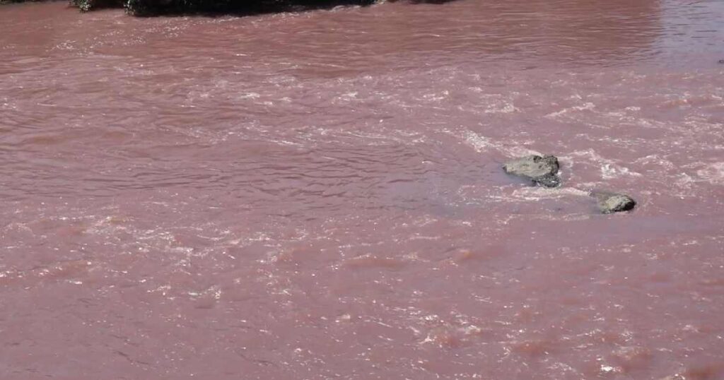 colored water Pink in Porbandar bay area