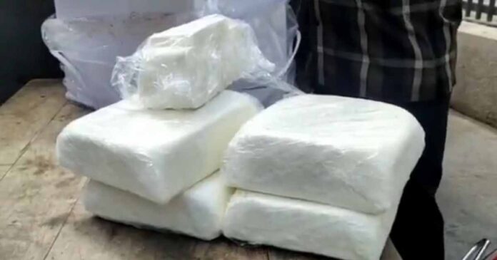 rajkot paneer