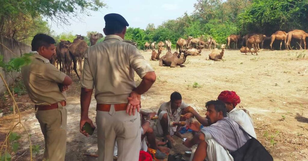 Camel Convey shahera Police Security