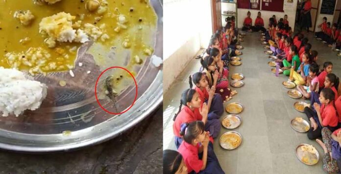 Dead Lizard Found in Mid-day meal in Navsari