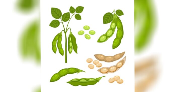 Soy Complex News