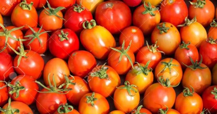 Tomato Price Hike