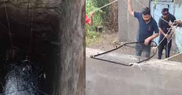 Rajkot New born Found