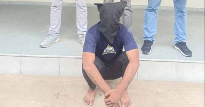 nikol murder case solved