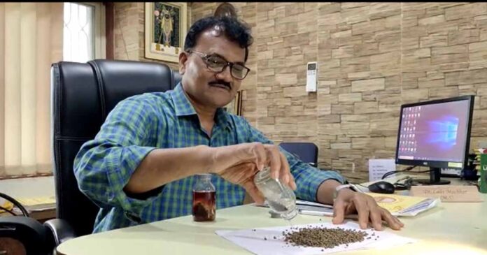 vadodara 1628 stones