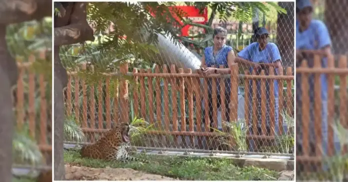 reliance zoo Jamnagar