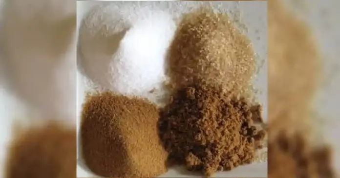 sugar news