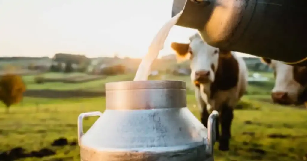 white revolution in india