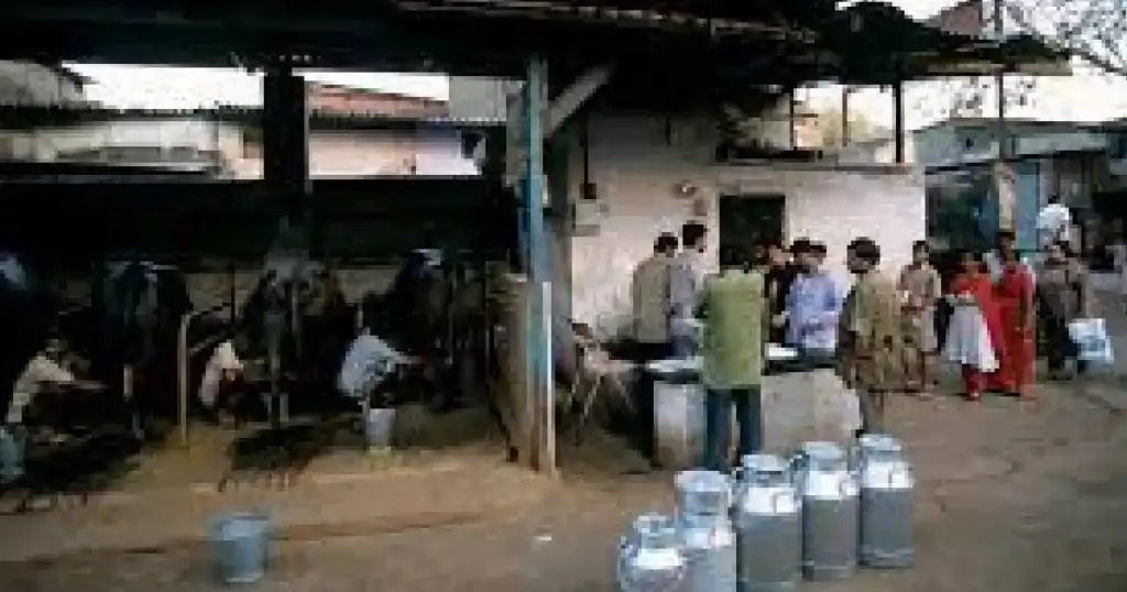 white revolution news