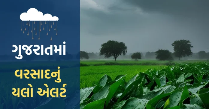 Weather news rain in gujarat Weather news rain in gujarat