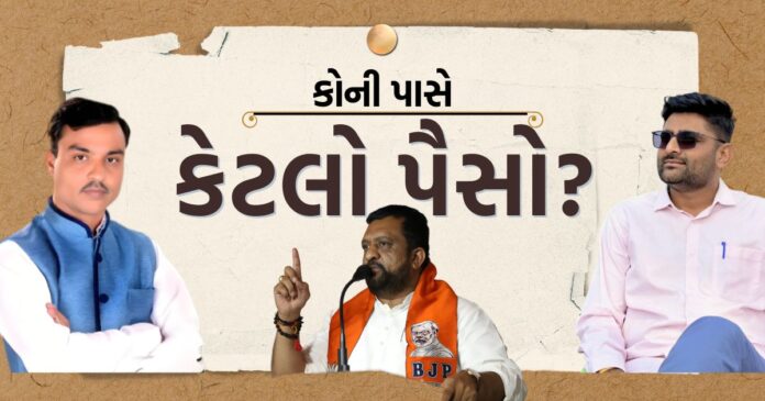 visavadar election