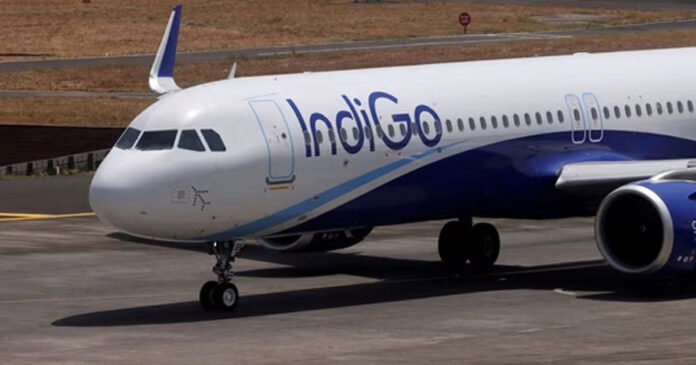 Indigo-flie-photo Indigo-flie-photo