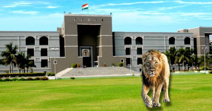 LION GUJARAT HC