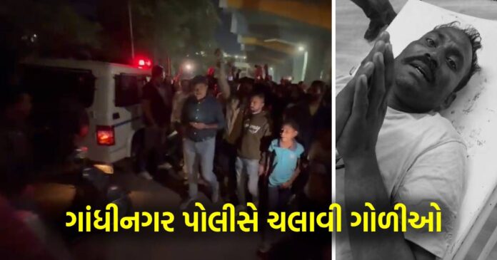 Gandhinagar firing