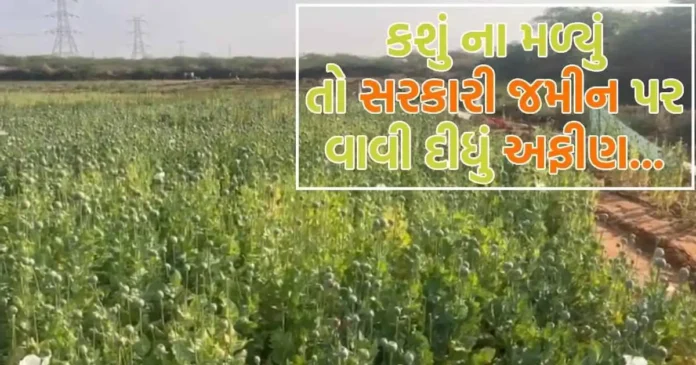 kutch police