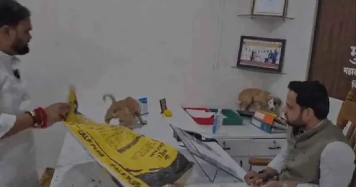 maharashtra street dog